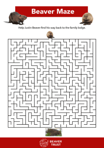 Activities for kids - Beaver Trust