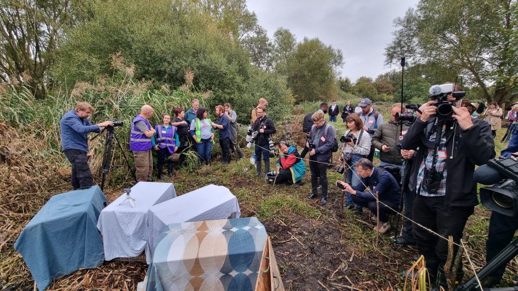 People gathering for the release of beavers to Ealing