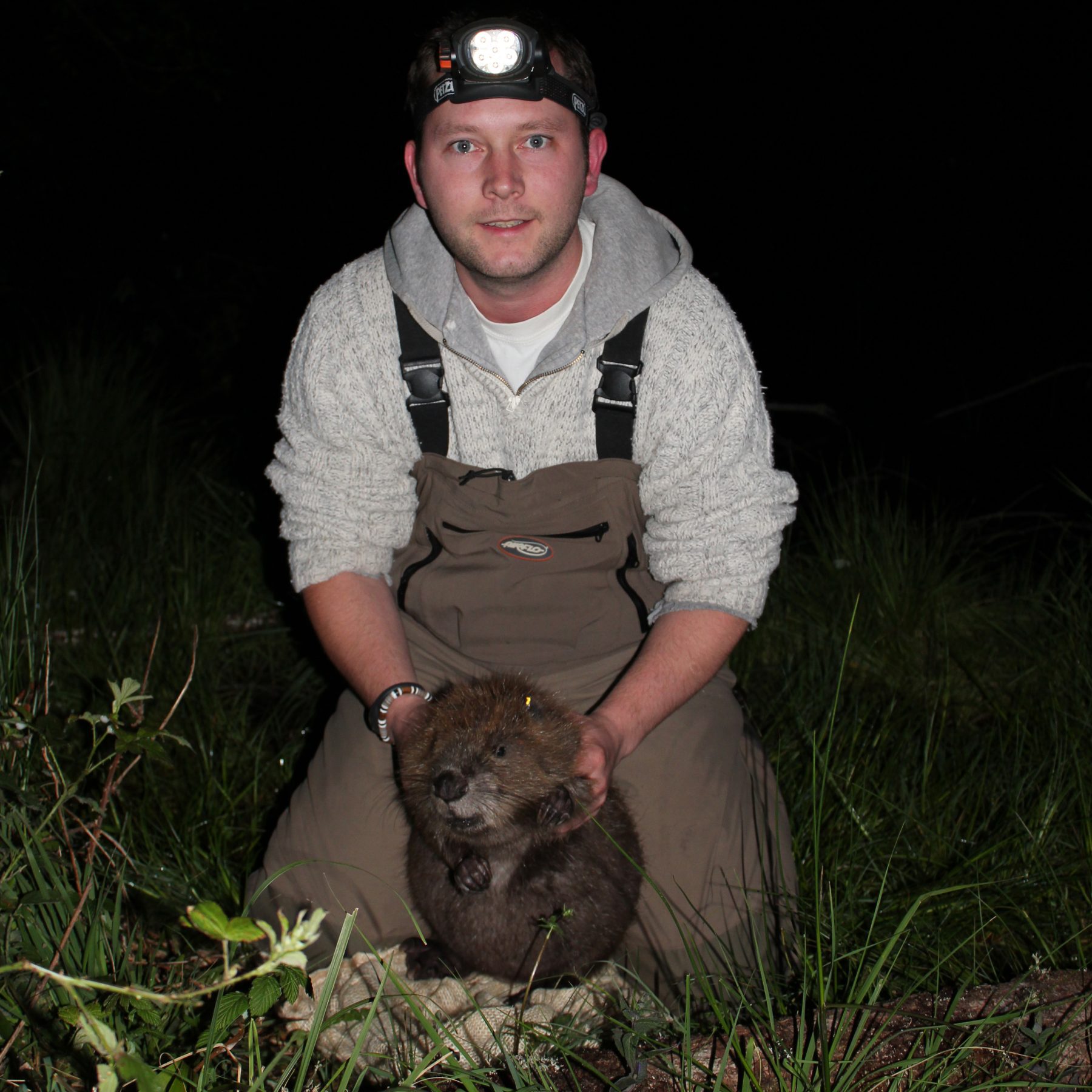 Dr Ramous Beaver Beaver dams and bigger trout: Dr Rob Needham’s PhD journey and career ...