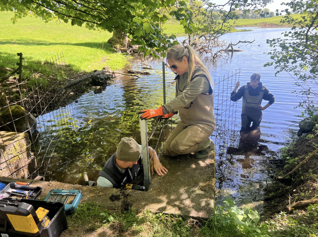 Team installing the culvert protection
