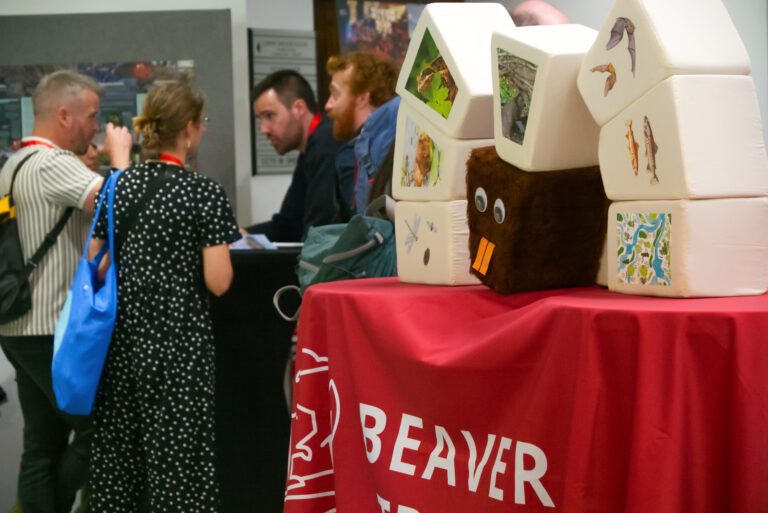 The beaver keystone arch made by Sophie Mackaness, Beaver Trust Education Officer