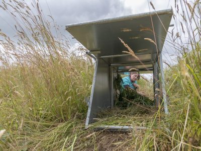 Dr Roisin Campbell-Palmer baiting a Bavarian beaver trap with willow - Elliot McCandless
