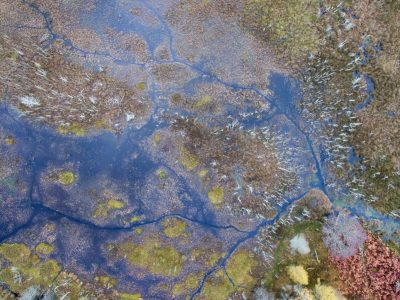 Drone-shot-of-channels-and-standing-deadwood-created-by-beaver-family-being-present-for-over-10-years-2---Elliot-McCandless